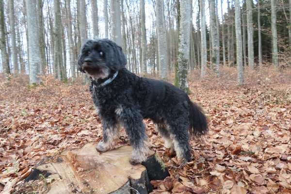 27. Handy Fotochallenge-Beitrag-Bild