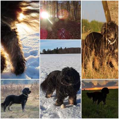 14. Collagen Challenge- Sonnenaufgang & -Untergang-Beitrag-Bild