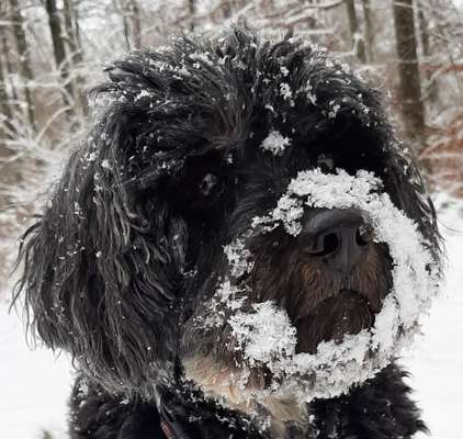 Handyfoto Challange  - Winter,Schnee-Beitrag-Bild