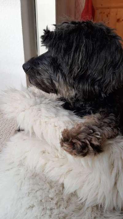 Doppelgänger gesucht !-Beitrag-Bild