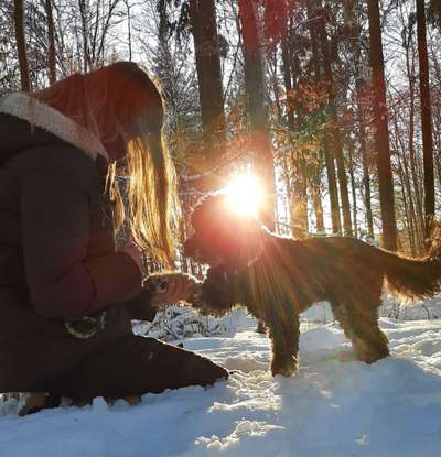 157 Fotochallege- Gib mir Deine Pfote und ich schenke Dir mein Herz-Beitrag-Bild