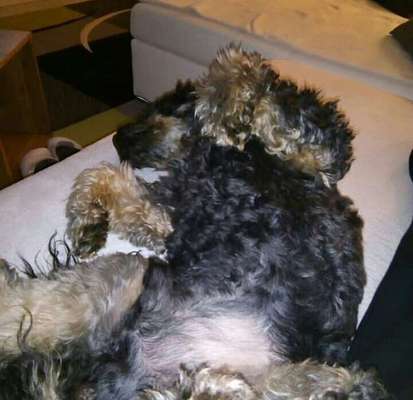 FOTO-Challenge  NR. 91: Die pure Entspannung-Beitrag-Bild