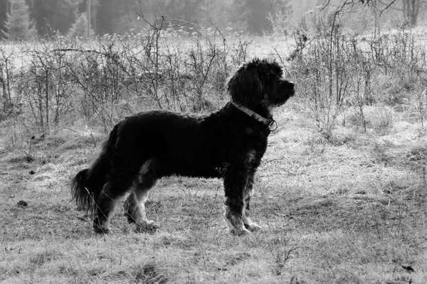 Foto-Challenge 76: Foto in Schwarz-Weiss-Beitrag-Bild