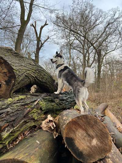 Zeigt eure Portraits-Beitrag-Bild