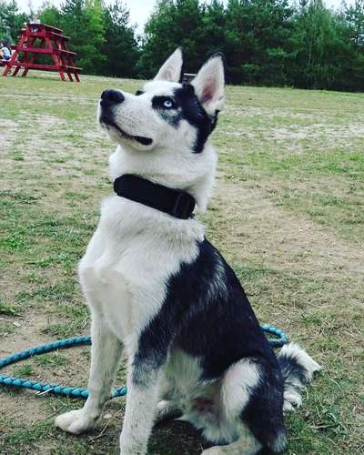 Zeigt eure Portraits-Beitrag-Bild