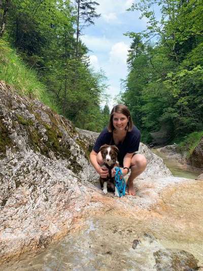 Hundetreffen-Welpentreffen Bad Reichenhall