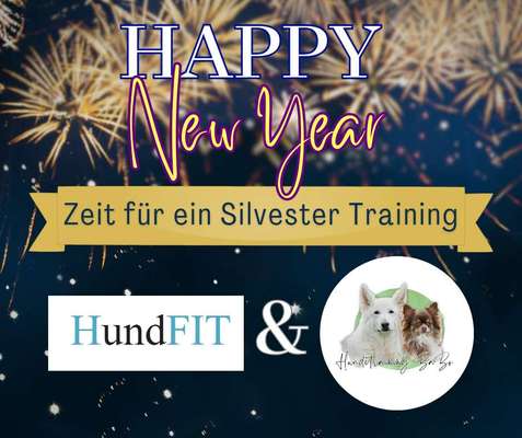 %{de_profession_title}-Webinar Silvestertraining-Bild
