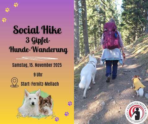 %{de_profession_title}-Social Hike-Bild