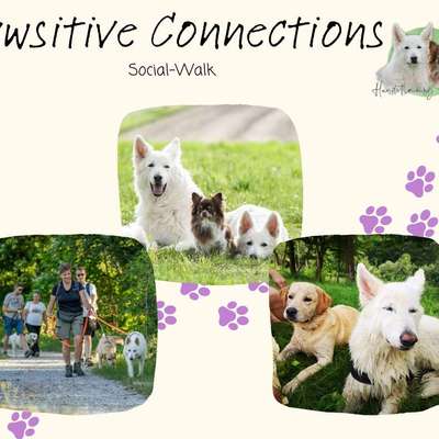 Giftköder-Social Walk Pawsitive Connections-Bild