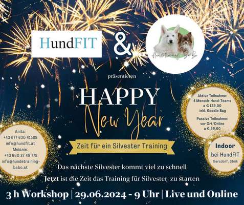 Giftköder-Silvestertraining mit HundFIT-Bild