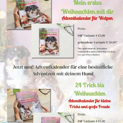 Giftköder-Adventkalender-Bild