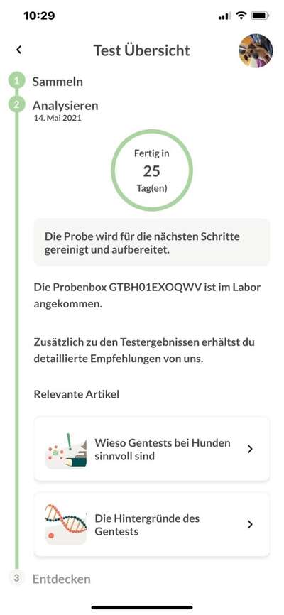 DNA Test-Beitrag-Bild