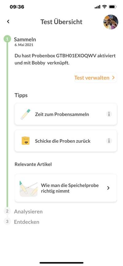 DNA Test-Beitrag-Bild