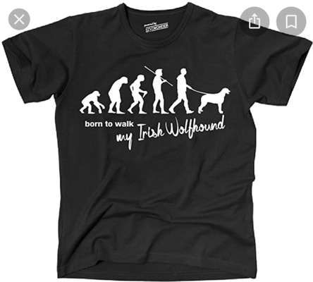 Hundesprüche-Beitrag-Bild