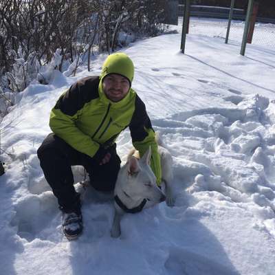 Hundetreffen-Gassirunde im Naturschutzgebiet