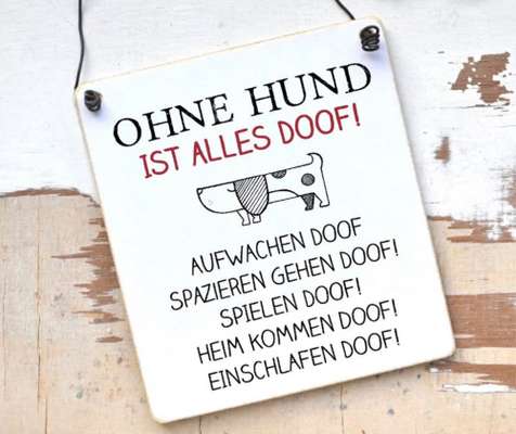 Hundesprüche-Beitrag-Bild