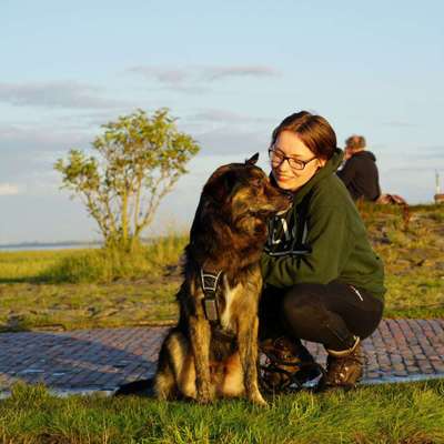 Hundetreffen-Social-Walk-Partner*innen gesucht-Bild