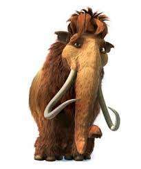 Wie heißt dein Hund?-Beitrag-Bild