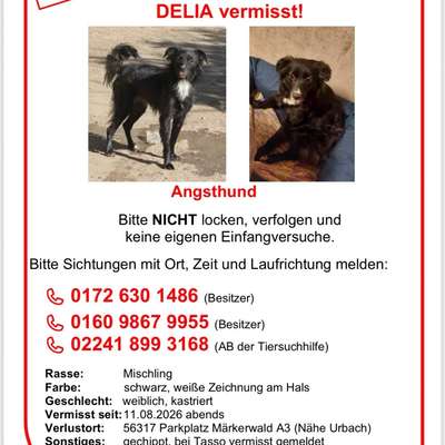 Suchmeldung-Delia-Bild