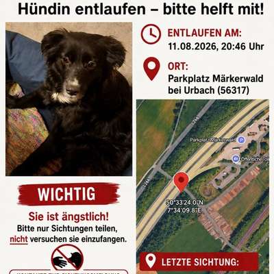 Suchmeldung-Delia-Bild