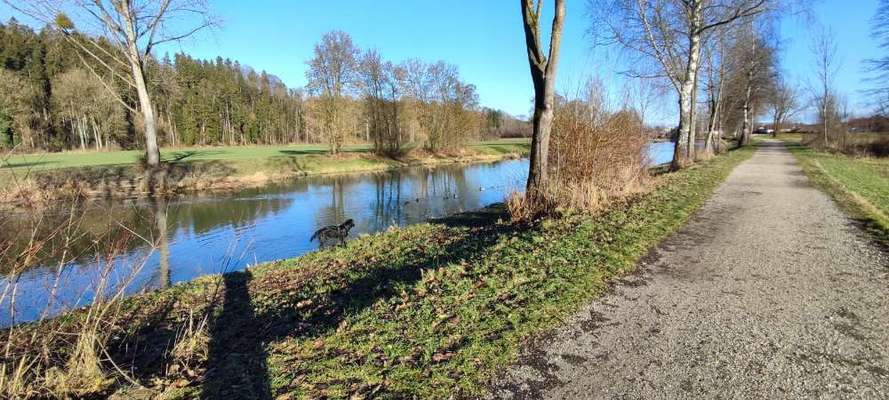 Hundeauslaufgebiet-Krems-Au-Bild