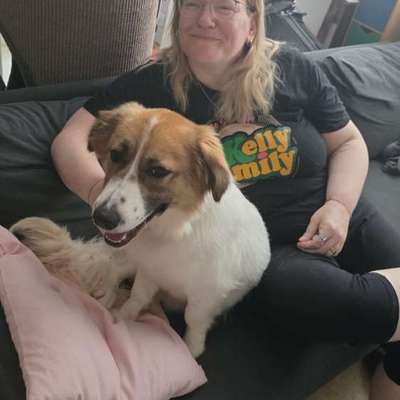 Hundetreffen-Hi wer mag mit balu und mir die Gegend unsicher machen?-Bild