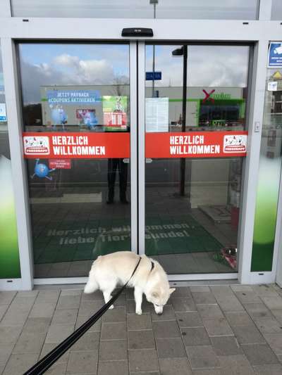 Unsere Fellnasen im Regenbogenland-Beitrag-Bild