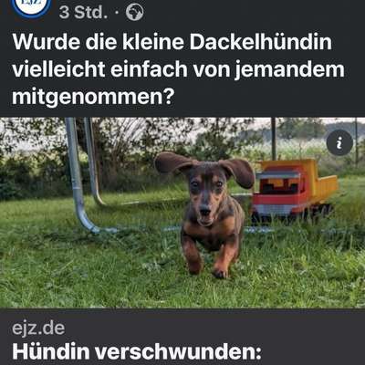 Suchmeldung-Anna-Bild