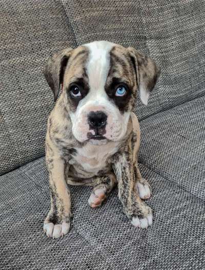 Blick fürs Detail!-Beitrag-Bild