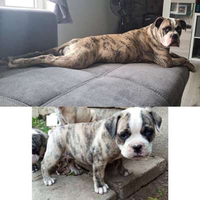 Vorher.... Nachher-Beitrag-Bild