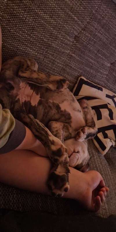 Die unbequemsten und lustigsten Schlafpositionen-Beitrag-Bild