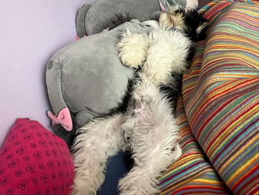 Relaxen im bett-Beitrag-Bild