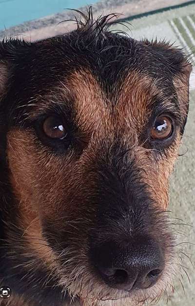 Blick fürs Detail!-Beitrag-Bild