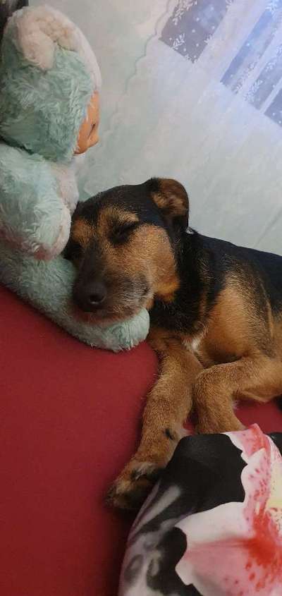 Lieblingsbild :D-Beitrag-Bild