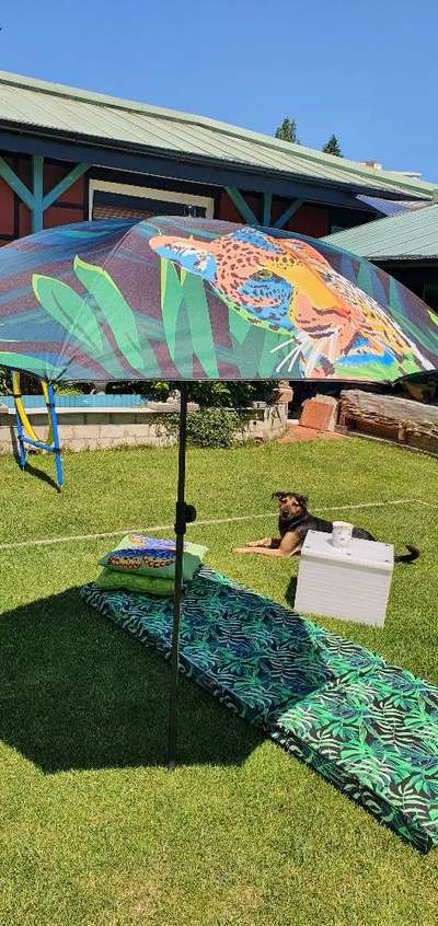 Zeigt euren Hund an eurem lieblingsplatz-Beitrag-Bild