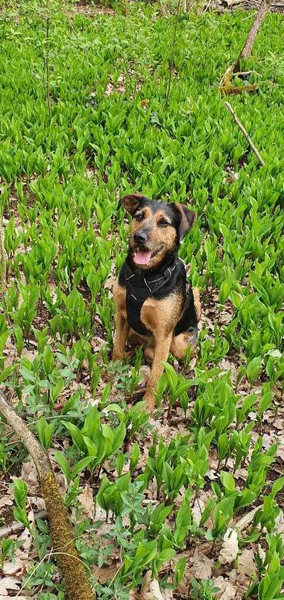 Lieblingsbild :D-Beitrag-Bild