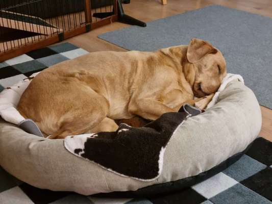 Hier ist der Spaßthread. Zum Schmunzeln und Kaputtlachen-Beitrag-Bild