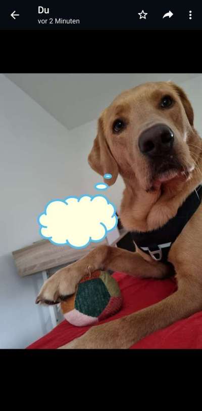 Fotochallange Nr. 57     PORTRÄT.   Beendet!!!!!!!!-Beitrag-Bild