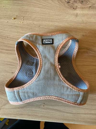 Suche Hunde Zubehör (Anny x, Leuchtie, Mantel, Leinen & co)-Beitrag-Bild