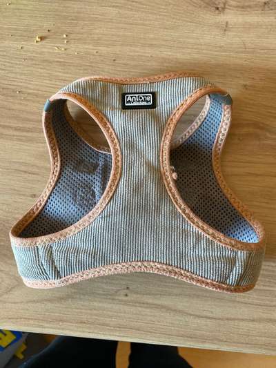 Suche Hunde Zubehör (Anny x, Leuchtie, Mantel, Leinen & co)-Beitrag-Bild