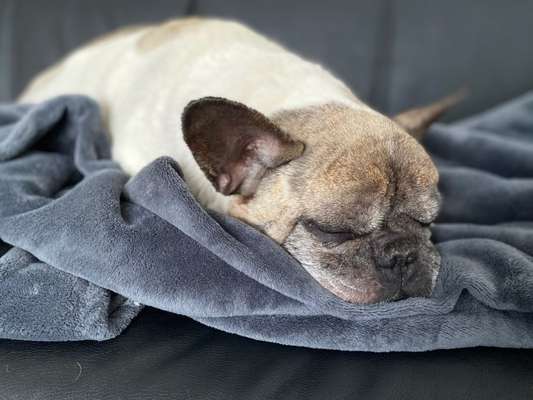 Morbus Cushing-Beitrag-Bild