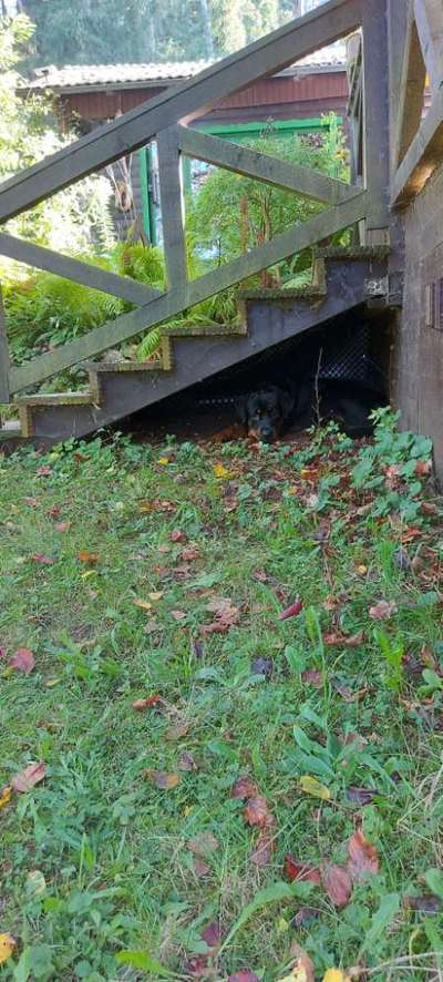 80. Foto  Challenge - Versteckt/ in einer Höhle-Beitrag-Bild