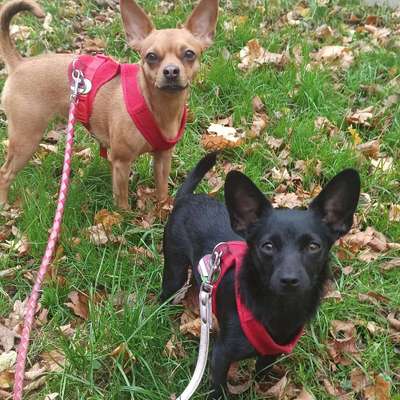 Lieblingsbild-Beitrag-Bild