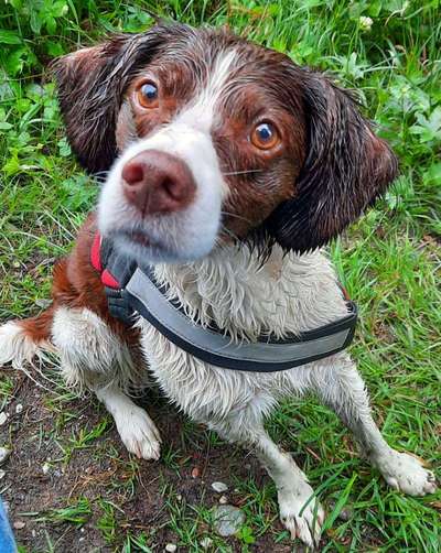 Fotochallange Nr. 57     PORTRÄT.   Beendet!!!!!!!!-Beitrag-Bild