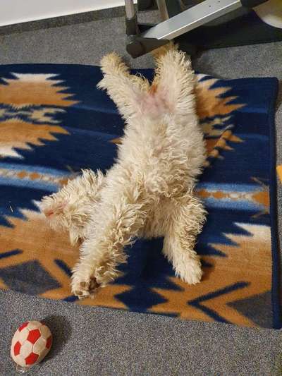 CHALLENGE NR. 34 - Liege-/Schlafpositionen-Beitrag-Bild