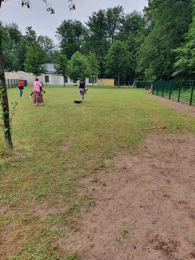 Hundeauslaufgebiet-Stadtpark-Bild