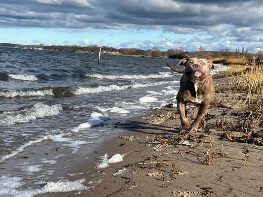 154. FotoChallenge * AUFS BILD GEMOGELT *-Beitrag-Bild