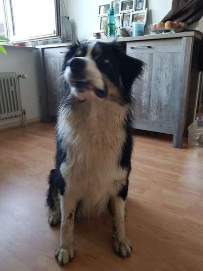 Fotochallenge No. 5-Beitrag-Bild