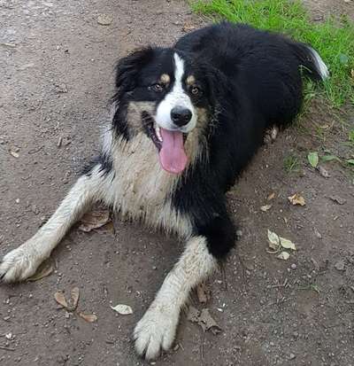 Lieblingsbild :D-Beitrag-Bild