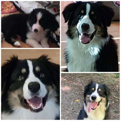 Vorher.... Nachher-Beitrag-Bild